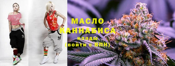 тгк Абаза