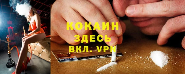 тгк Абаза