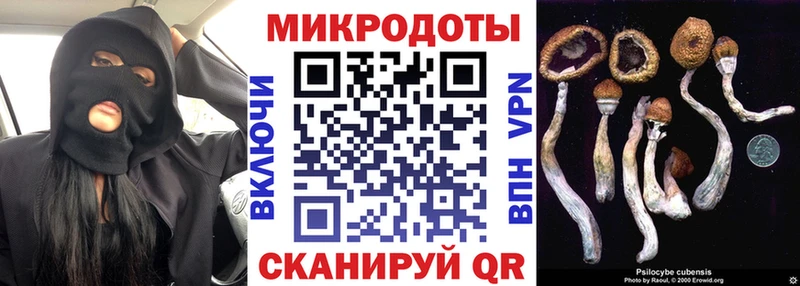 blacksprut сайт  Чегем  Галлюциногенные грибы GOLDEN TEACHER  где продают наркотики 